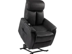Stenis liftchair